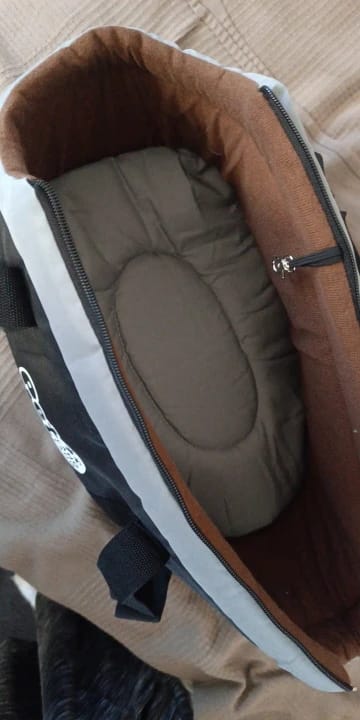 Customer photo review of Breathable Soft-Sided Pet Carrier Bag – Portable Travel Tote for Cats & Small Dogs with Adjustable Strap & Cosy Interior Pad