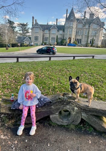 Customer photo review of Dog Pajama - Breakfast Blue