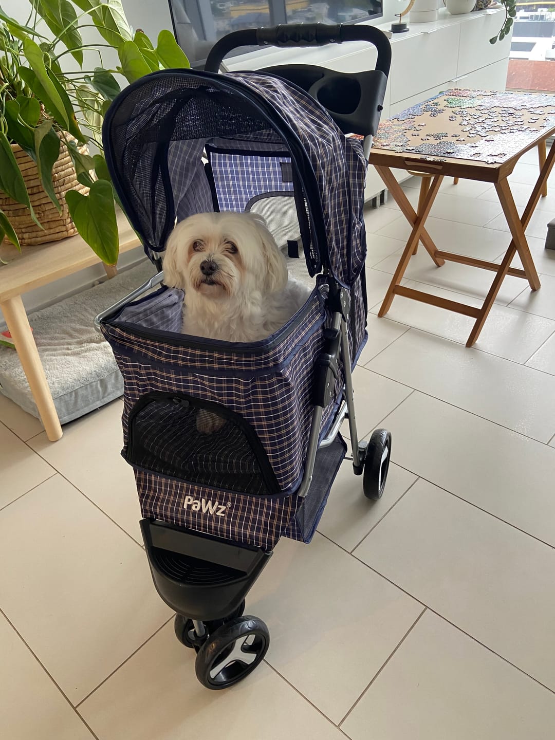 Customer photo review of PaWz Large Dog Stroller - 3 Wheels