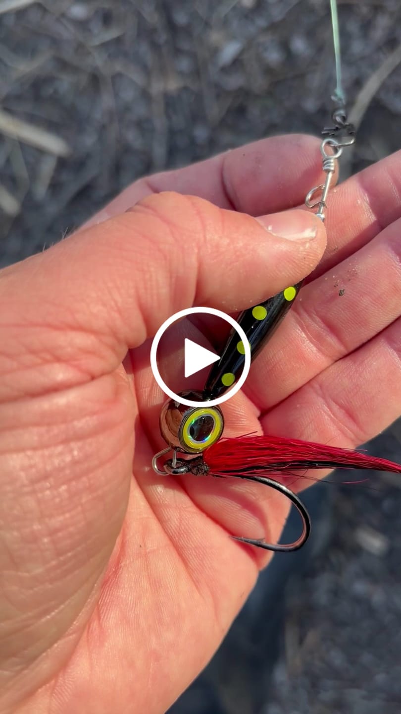 Customer video review of STINGEYE™ Spinner