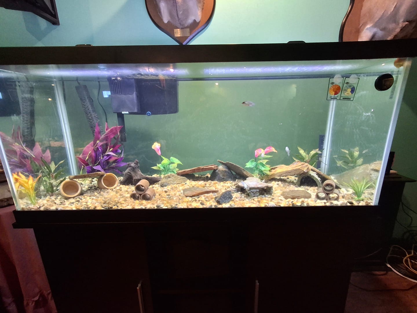 Customer photo review of Fritz COMPLETE Water Conditioner