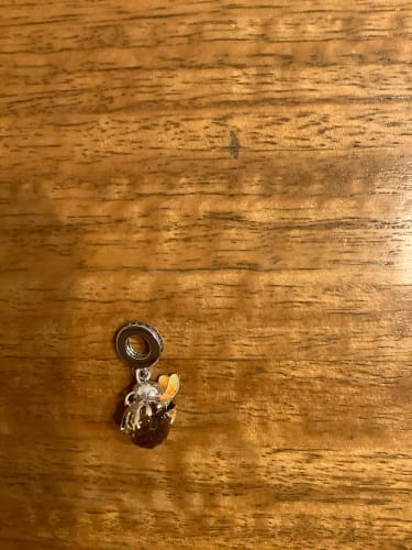 S. review of 925 Sterling Silver Honey Bee Charm image 1 out of 1