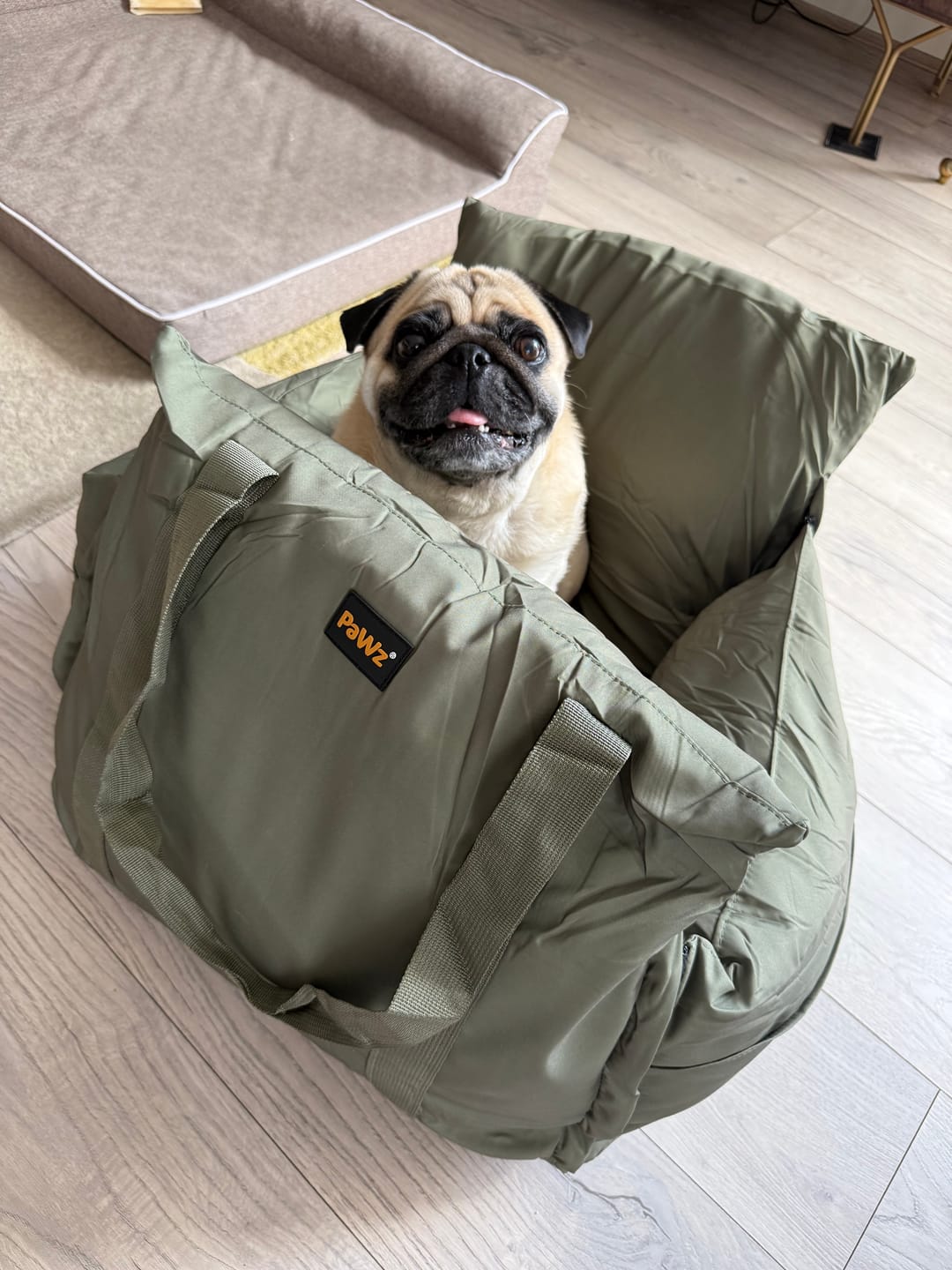 Customer photo review of Pawz Car Booster Seat Carry Bag