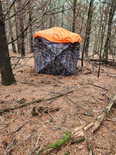 Customer photo review of FLASH SALE Vis360 See Through Silent 4 Full Panels Deer Hunting Blind
