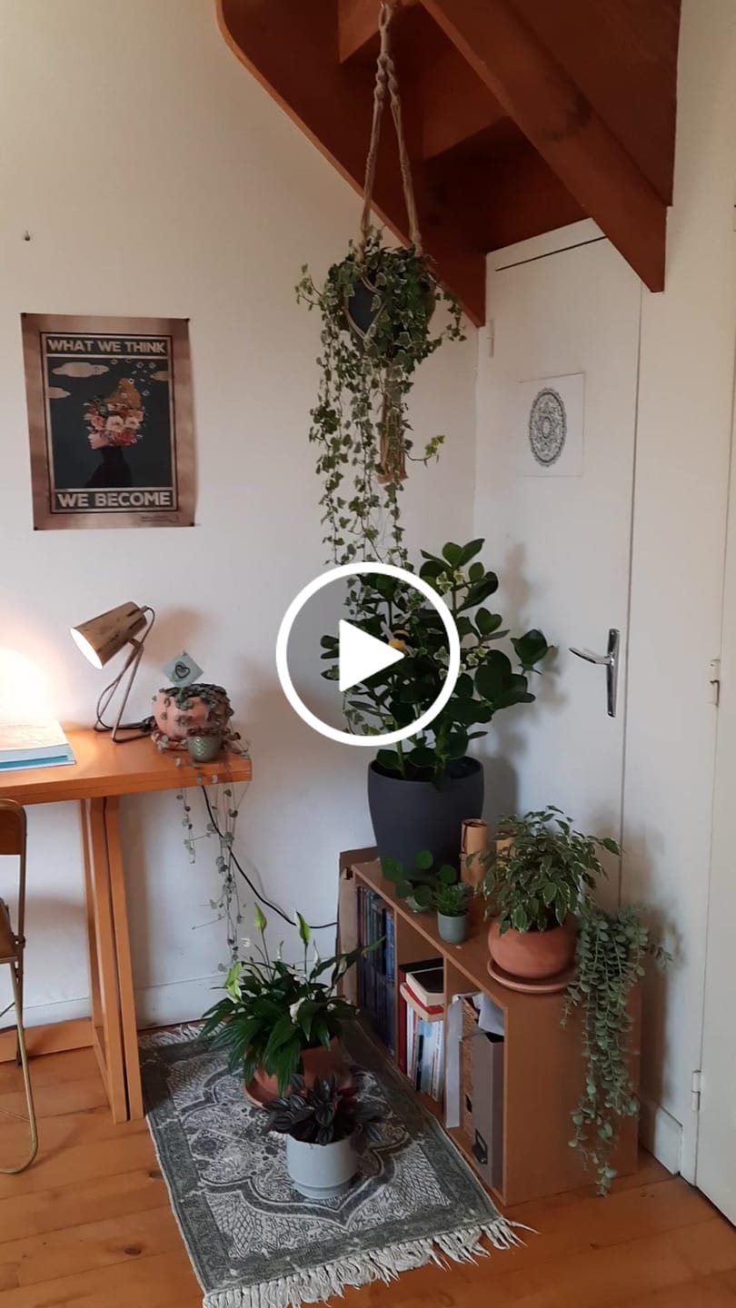 Customer video review of What we think, we become