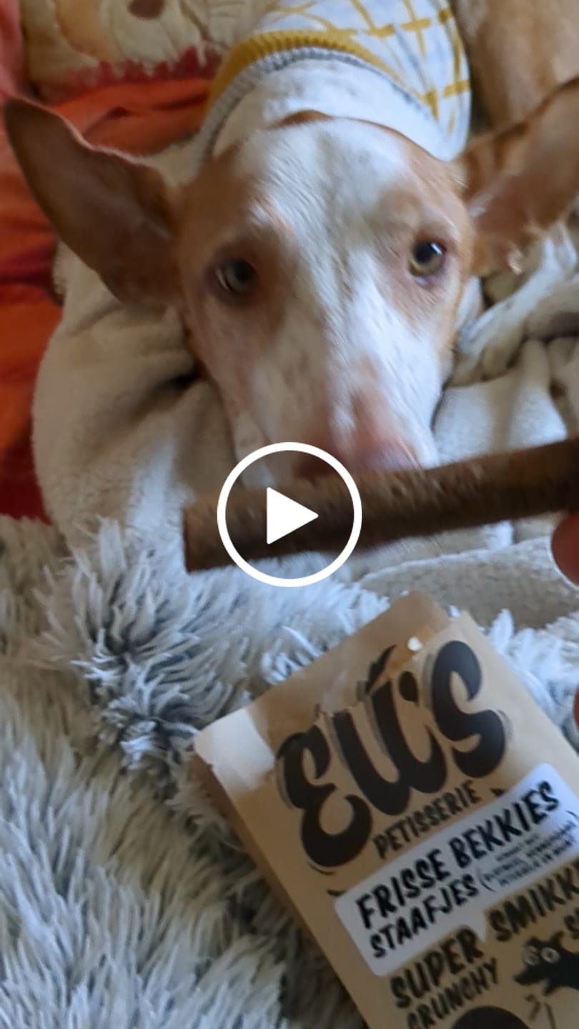 Customer video review of Frisse bekkies kauwstaafjes | Kauwstaaf
