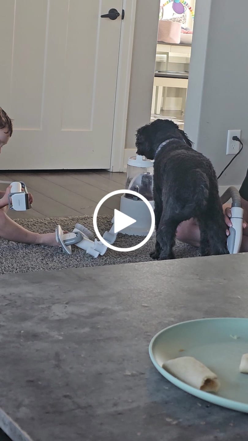 Customer video review of Neakasa P2 Pro 5-in-1 Dog Cat Grooming Kit with Vacuum