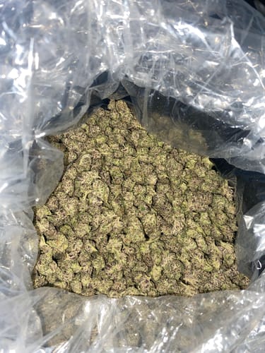 Customer photo review of Gas Cake  - Bulk Littles - Indica