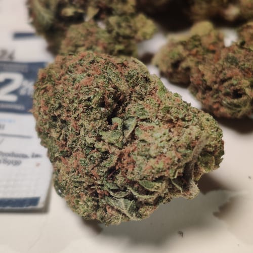 Customer photo review of Wonder Bread