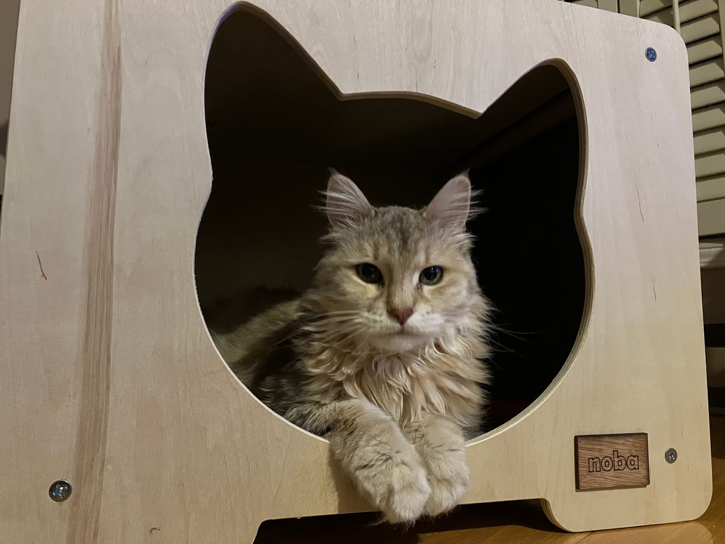 Customer photo review of Hut Hideout Deluxe Cat Tree with High-Quality Fique Rope
