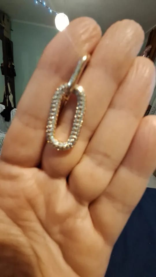 Customer photo review of Elysia Pavé Hoop