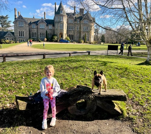 Customer photo review of Dog Pajama - Breakfast Blue