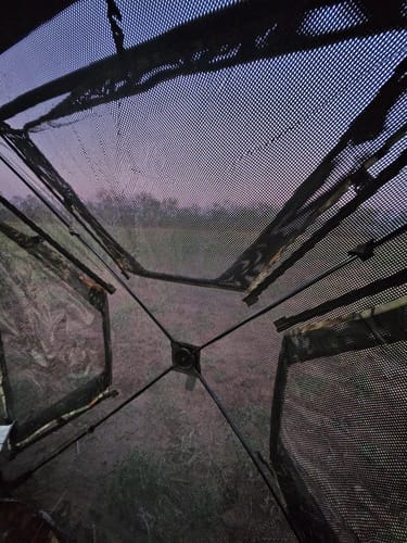 Customer photo review of FLASH SALE VisST See-Through Pop-Up Ground Blinds with Silent Magnetic Door