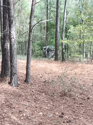 Customer photo review of FLASH SALE VisST See-Through Pop-Up Ground Blinds with Silent Magnetic Door
