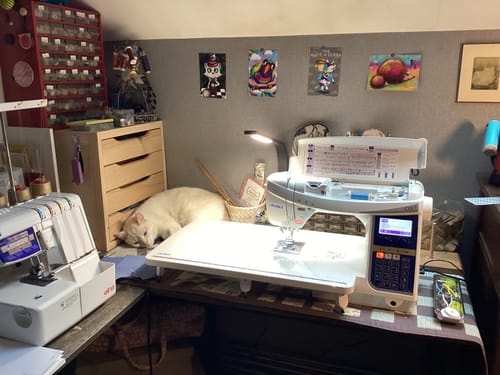 Béatrice C. review of JUKI HZL-DX7 image 1 out of 4