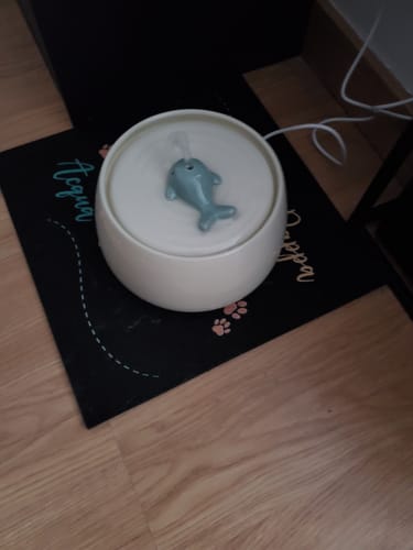 Customer photo review of Fontaine à eau Poisson Céramique