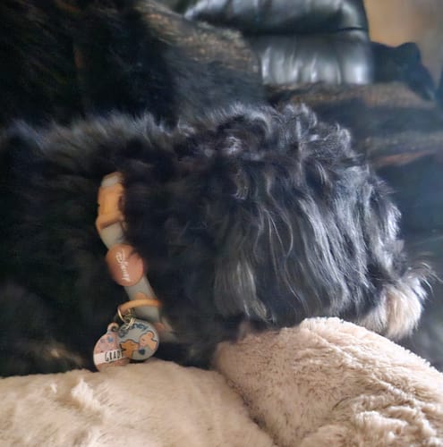 undefined review of ID Tag - Disney Dogs image 1 out of 1