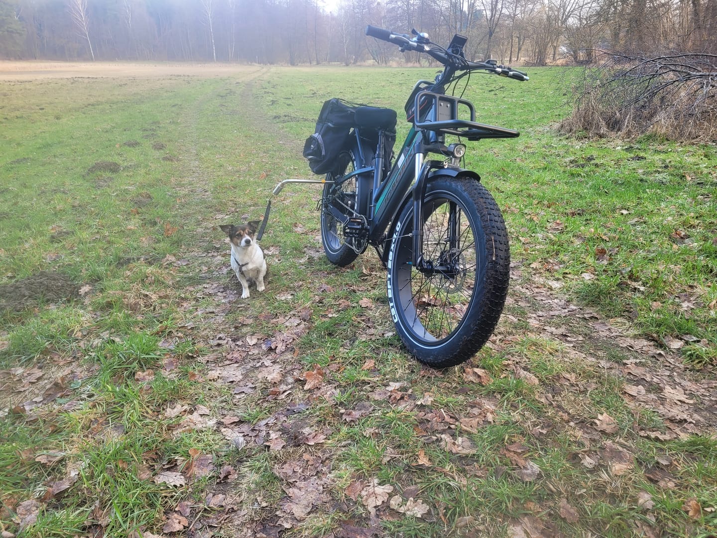 Customer photo review of JOBOBIKE Robin
