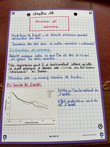 Avis photo d'un client sur Fiches de révision REVISION 2.0 OXFORD # 50 fiches 14,8 x 21 cm - petits carreaux