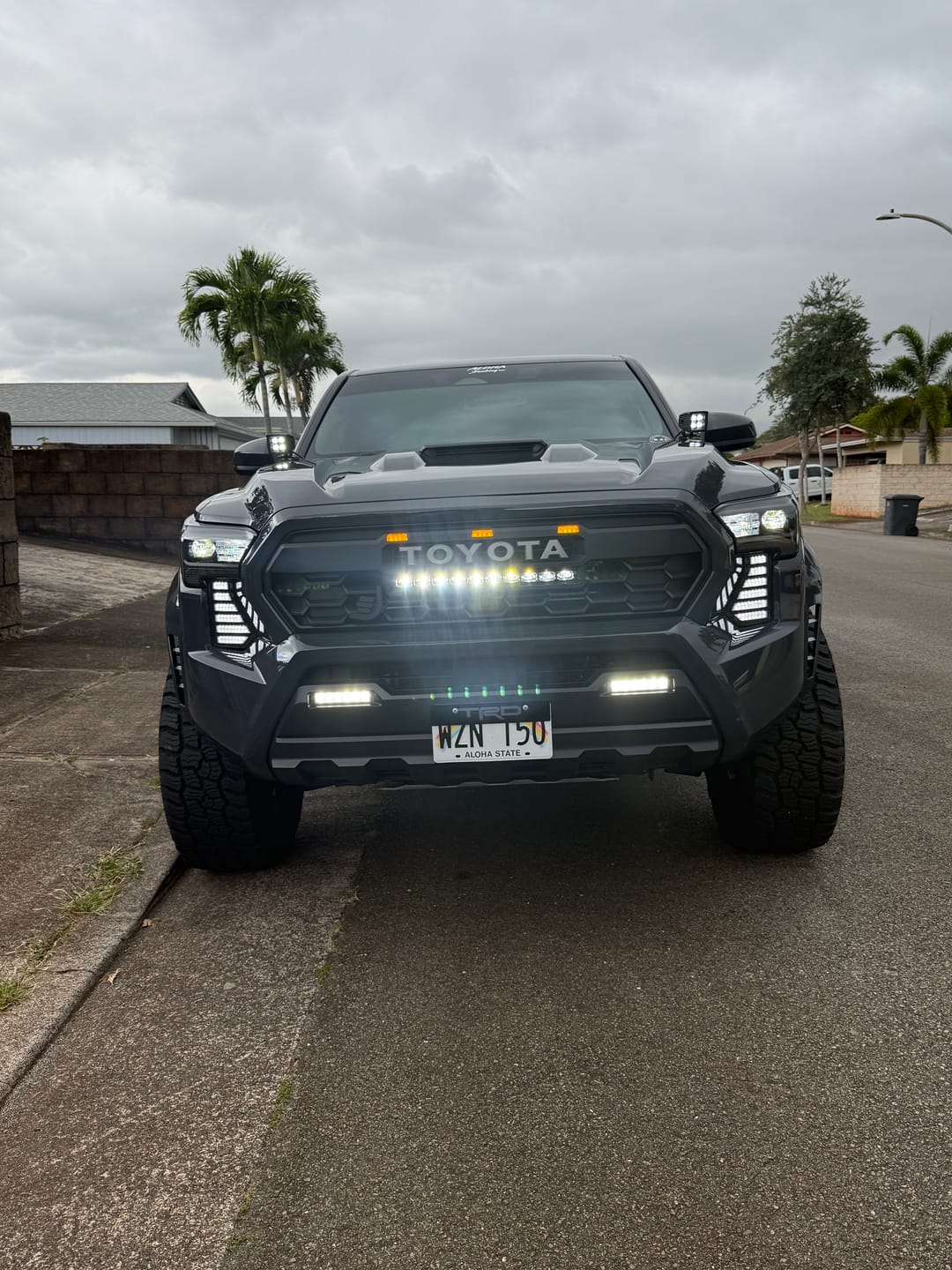 Customer photo review of 2024+ TOYOTA TACOMA TRD PRO STYLE GRILLE
