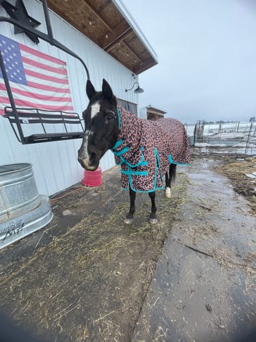 Customer photo review of TACKTICAL™ LEOPARD & MINT 1200D PERFECT FIT WINTER BLANKET WITH NECK