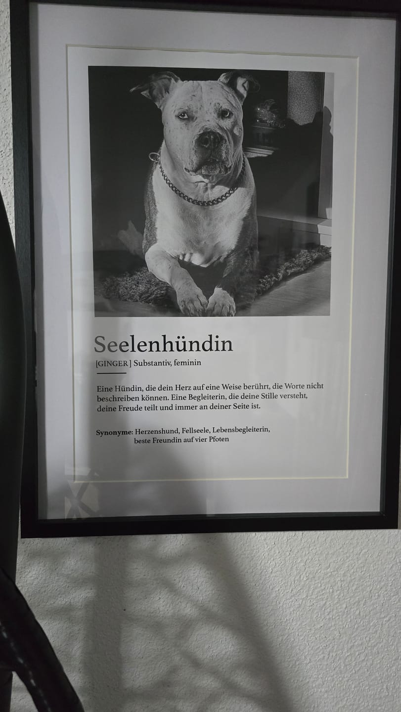 Customer photo review of Definition Seelentier - Individuelles Poster