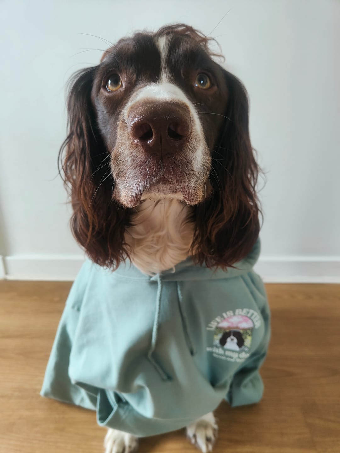 Customer photo review of Personalised Life is Better with your dog Hoody