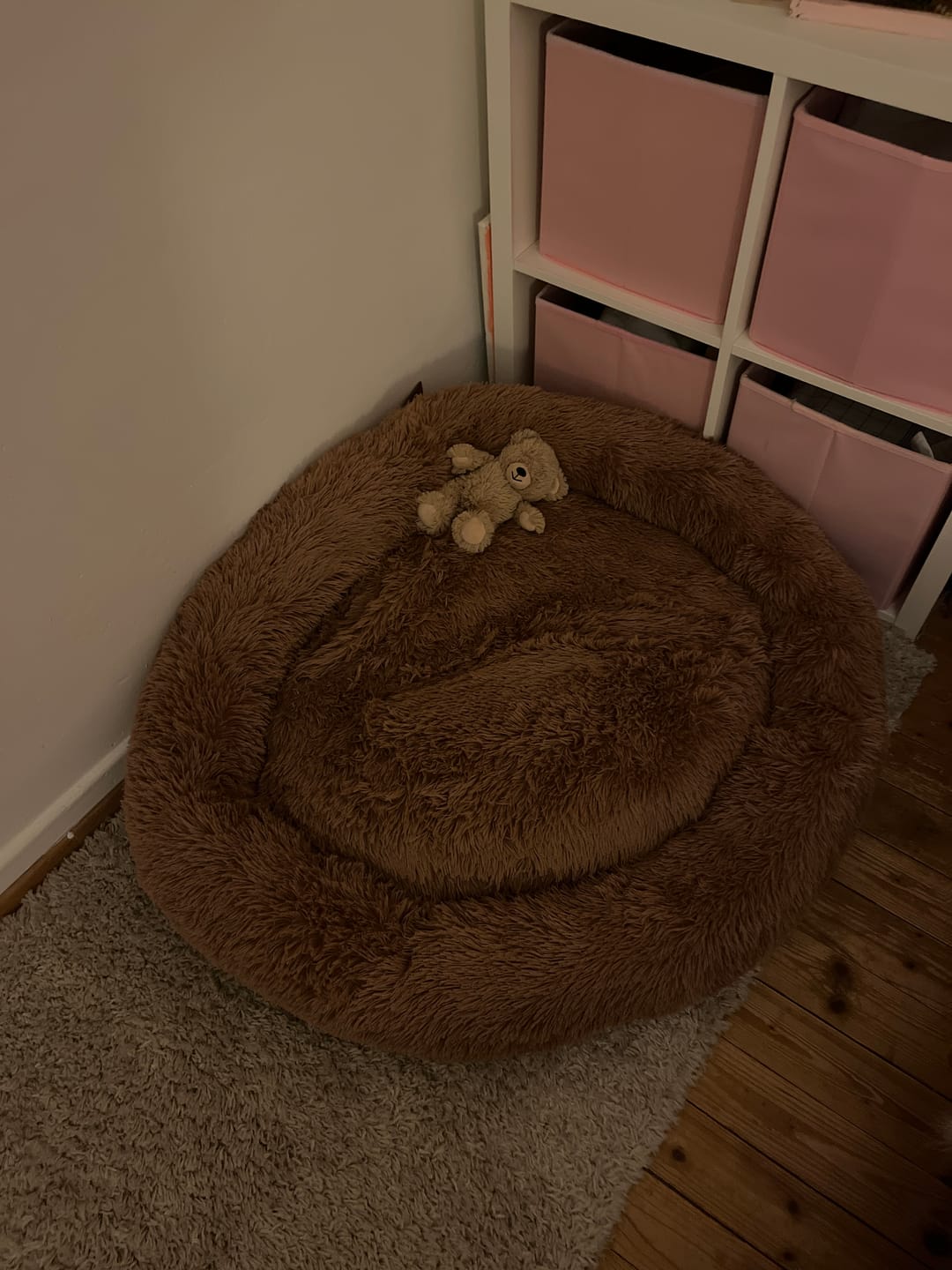 Customer photo review of Hundebett Belune® - Das Original