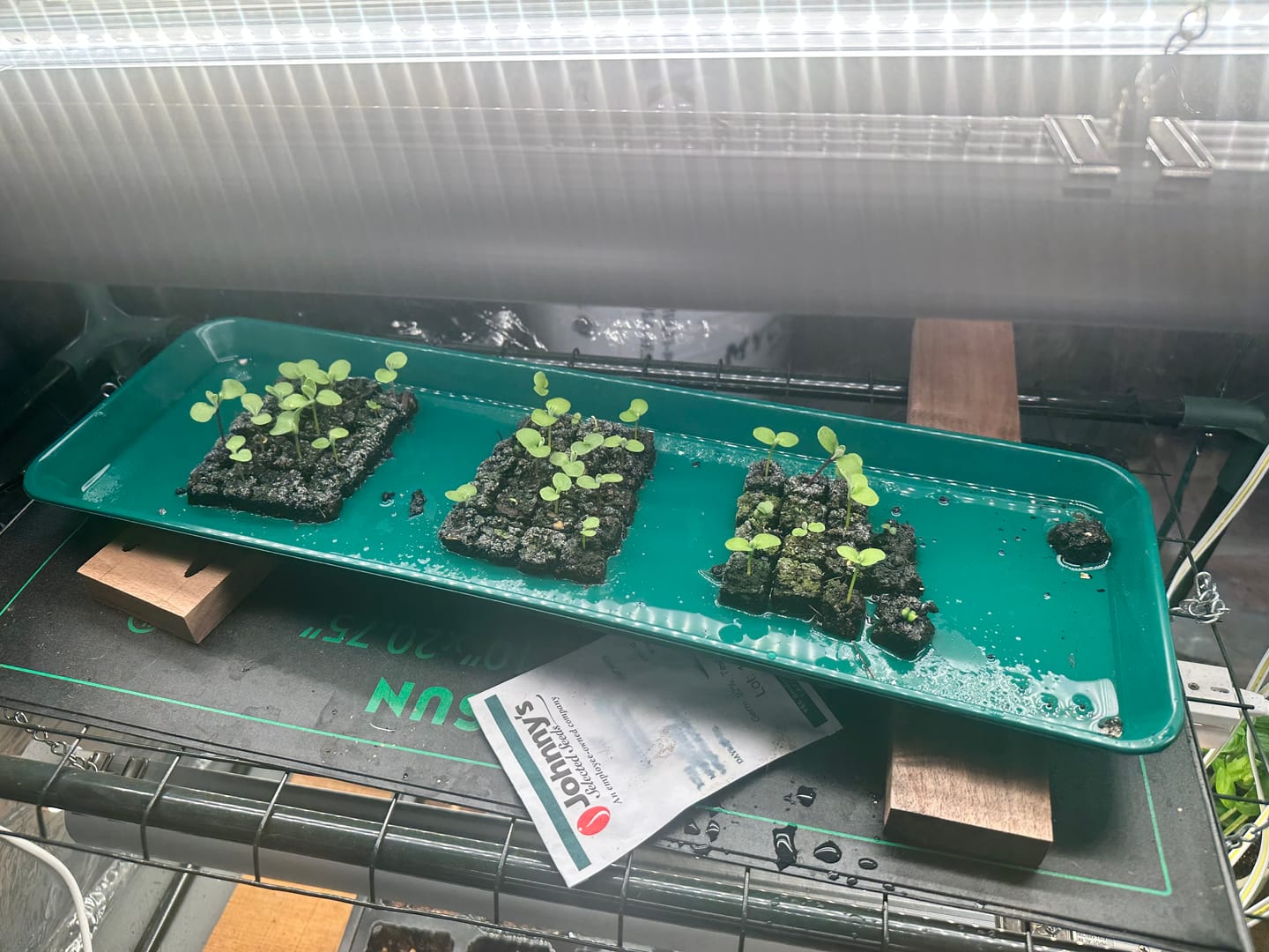 Customer photo review of Blocker Trays, Reusable Plastic*