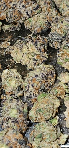 Customer photo review of Durban Poison THCA Flower