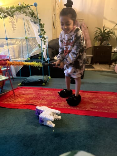 Customer photo review of Make a Wish Birthday Piñatagram