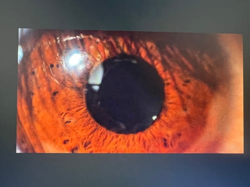 Customer photo review of "BEST OF" LOOKS by TROPIC COLOUR