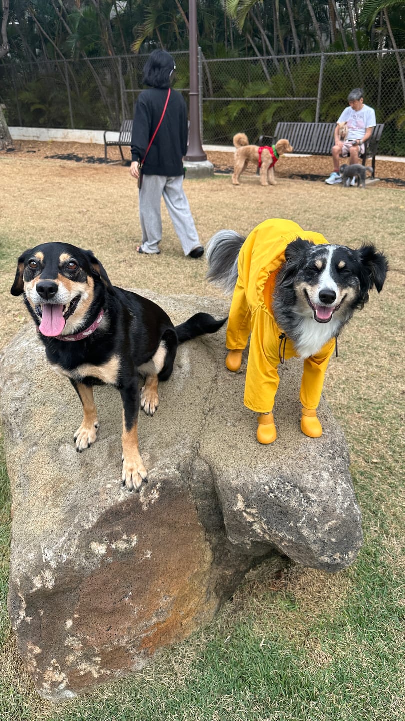 Customer photo review of Nylon Coverall