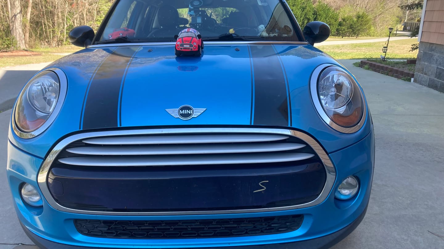 Customer photo review of The Mini Plushie