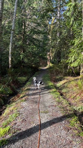 Customer photo review of Biothane Long Line with Detachable Handle