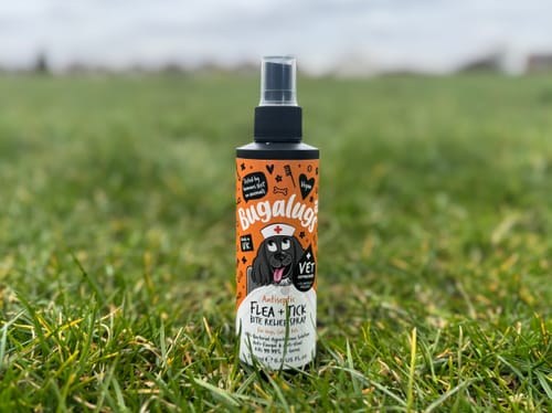 Customer photo review of Antiseptic Flea & Tick Bite Relief Spray for Dogs, Cats & Pets