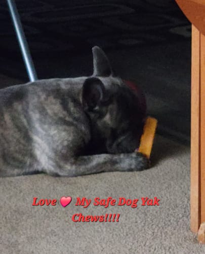 Customer photo review of Pumpkin Yak Chews