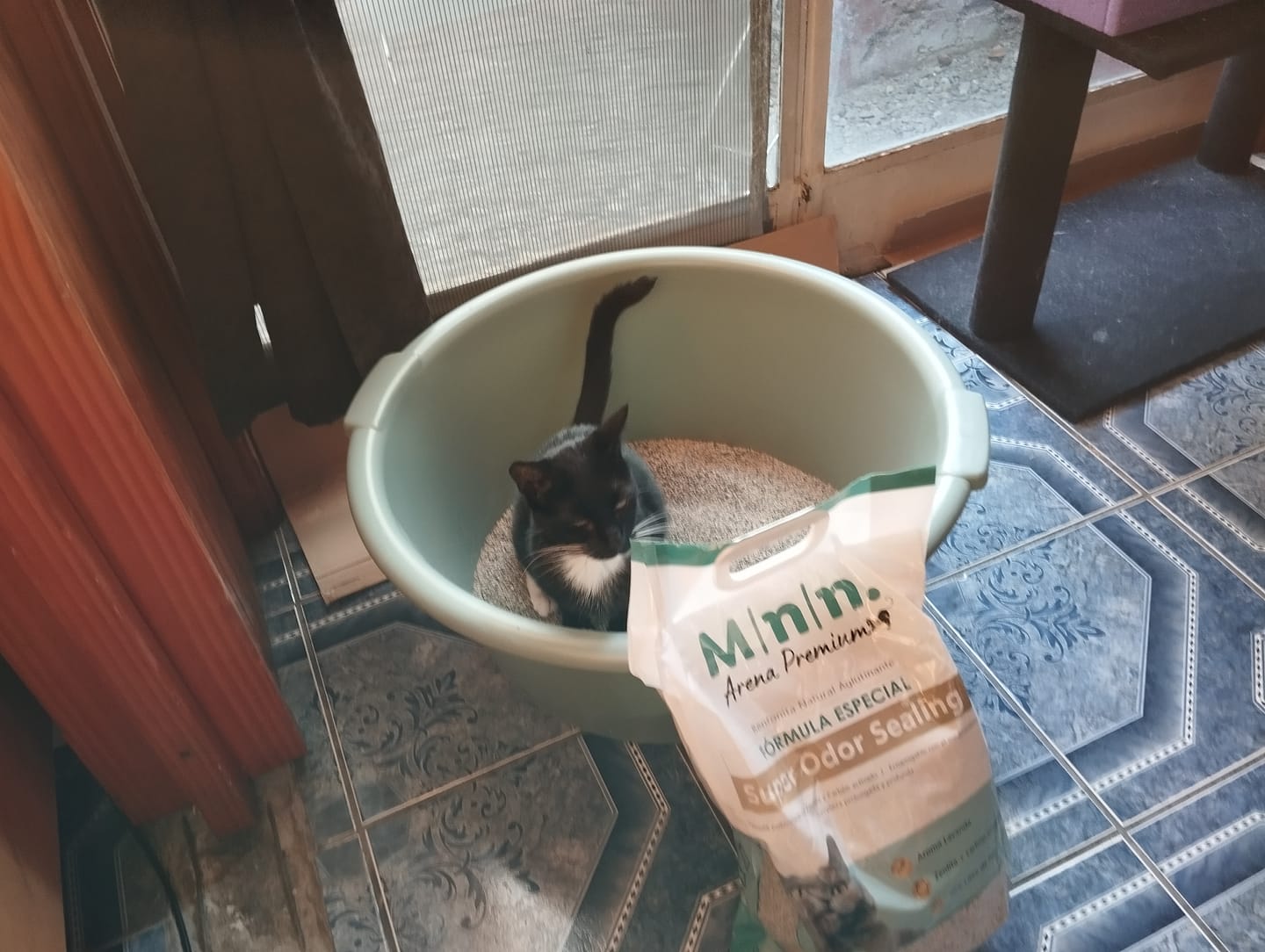 Customer photo review of Arena Minino 24kg - Carbón Activado [Nueva]