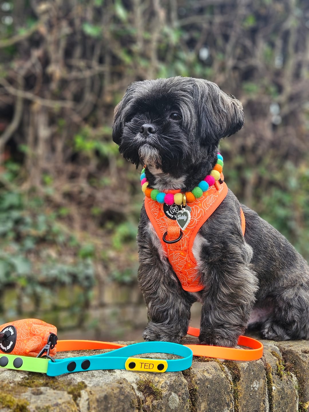 Customer photo review of Custom Biothane Dog Lead