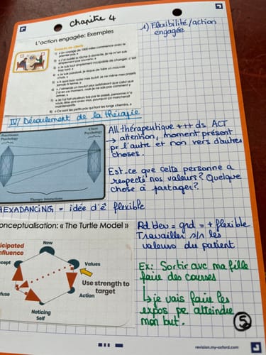 Avis photo d'un client sur Fiches de révision REVISION 2.0 OXFORD # 50 fiches 14,8 x 21 cm - petits carreaux