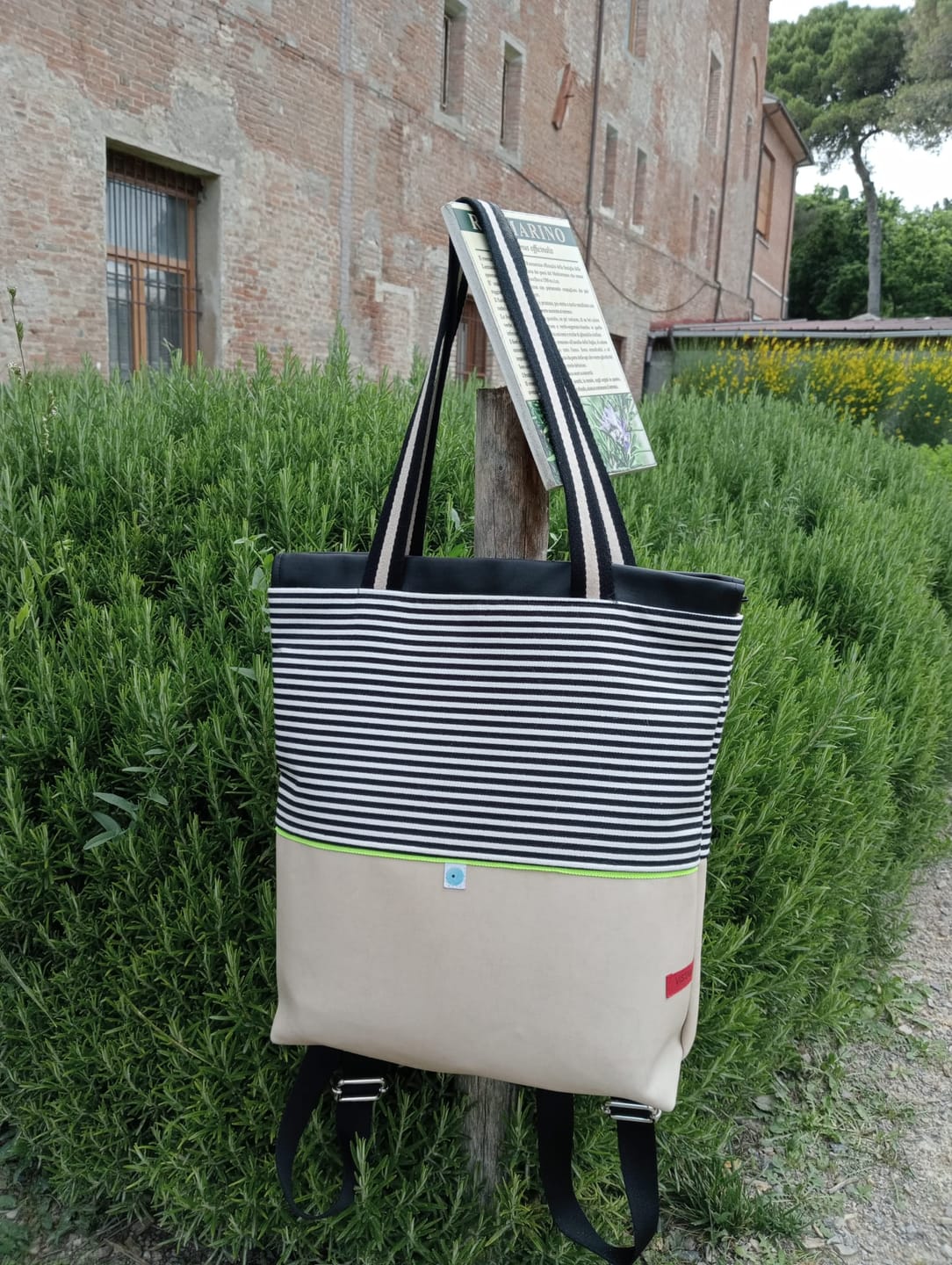 Customer photo review of ZAINO MILANO champagne I riga