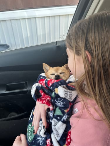 Customer photo review of iPhone 14 Pro Max