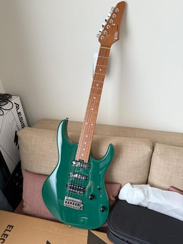 Customer photo review of 【Offene Kiste】Donner DST-700 E-Gitarre Waldgrün