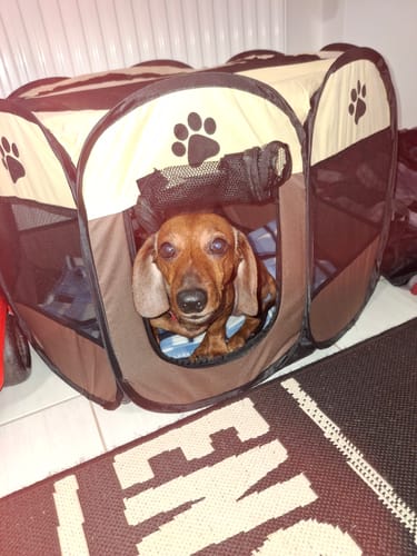 undefined review of Hordozható Kutya Kennel és Kisállat járóka image 1 out of 1