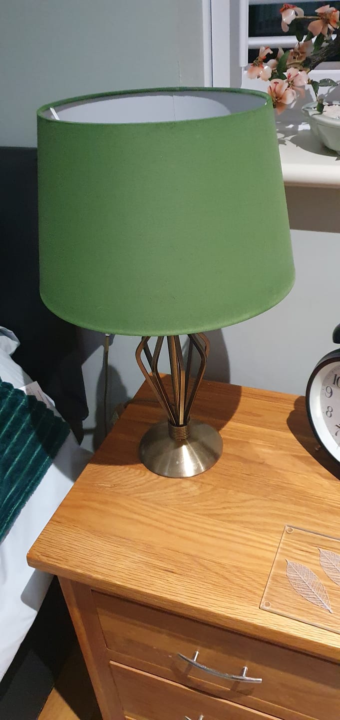 Customer photo review of Fabric Paint -- Green