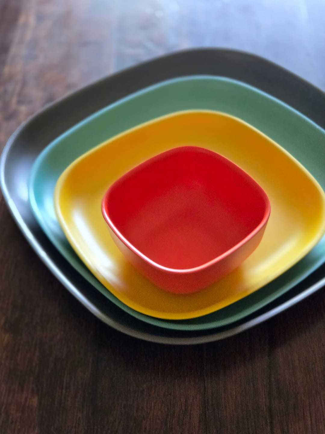 Customer photo review of Dinner Plate - Smoke