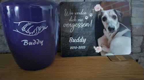 Customer photo review of Hunde Gedenktafel mit Foto & Spruch (UV- &  Wetterfest)
