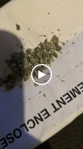 Customer video review of Shipping Protection by Route