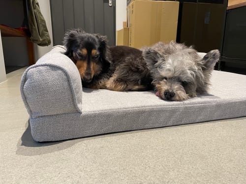 Customer photo review of Yuna L型狗狗沙發床 寵物睡墊