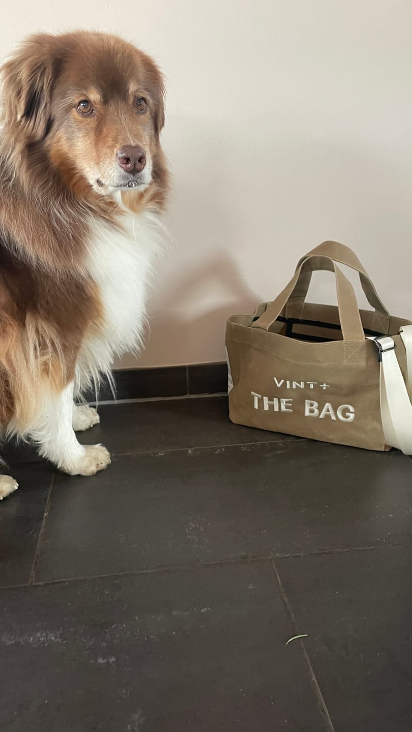 Customer photo review of CANVAS TOTE BAG - SMALL - BEIGE